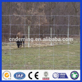 Hot Dipped Galvanized grassland fence/rabbit fence net